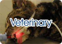 Veterinary